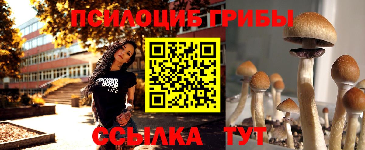 Альфа ПВП Йошкар-Ола